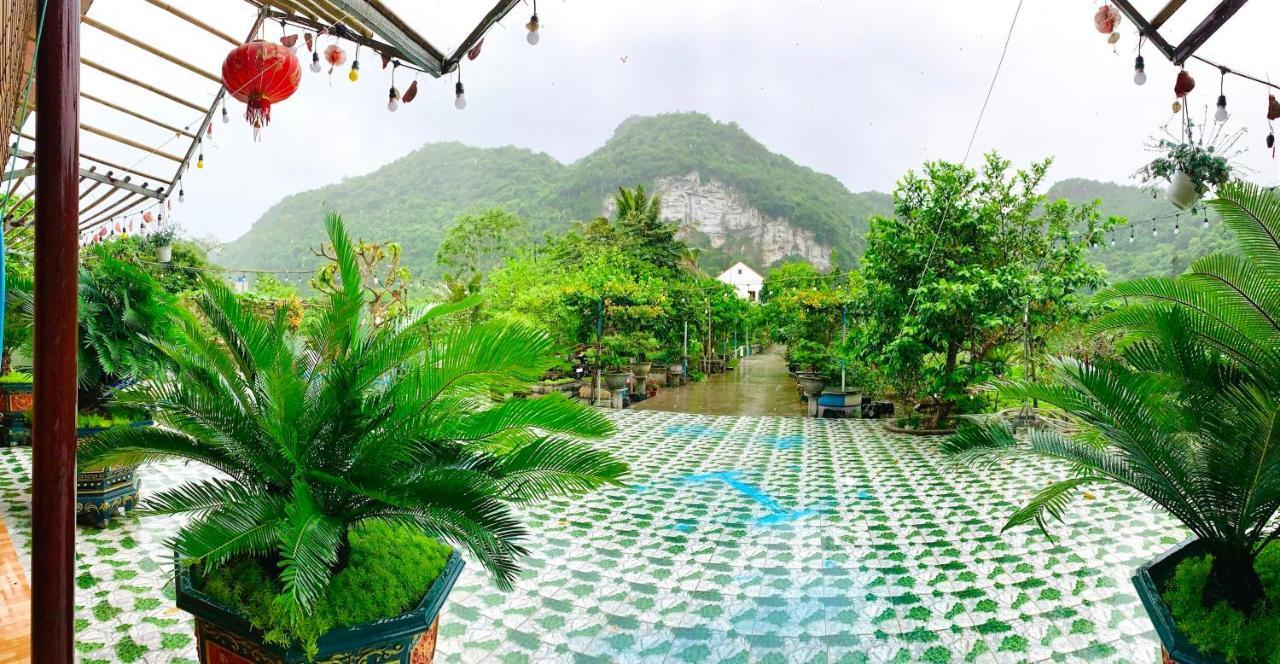Central Hills Cat Ba Xuân Đám Ngoại thất bức ảnh