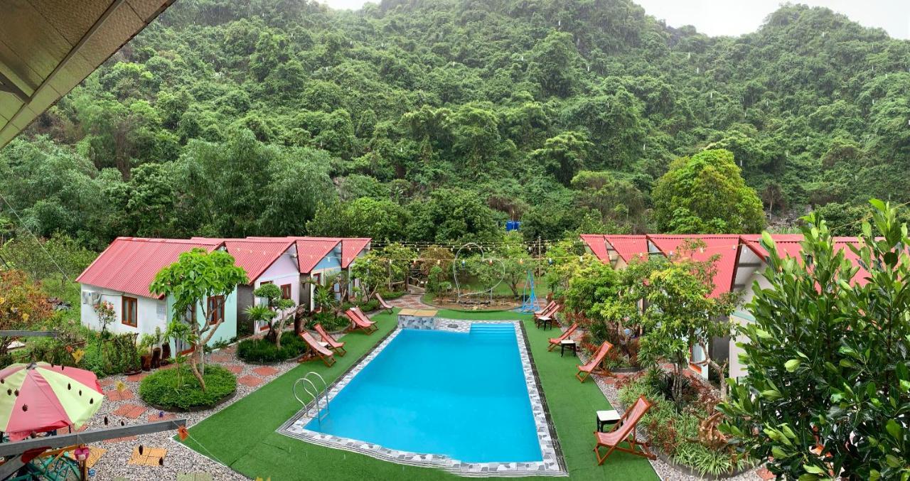 Central Hills Cat Ba Xuân Đám Ngoại thất bức ảnh