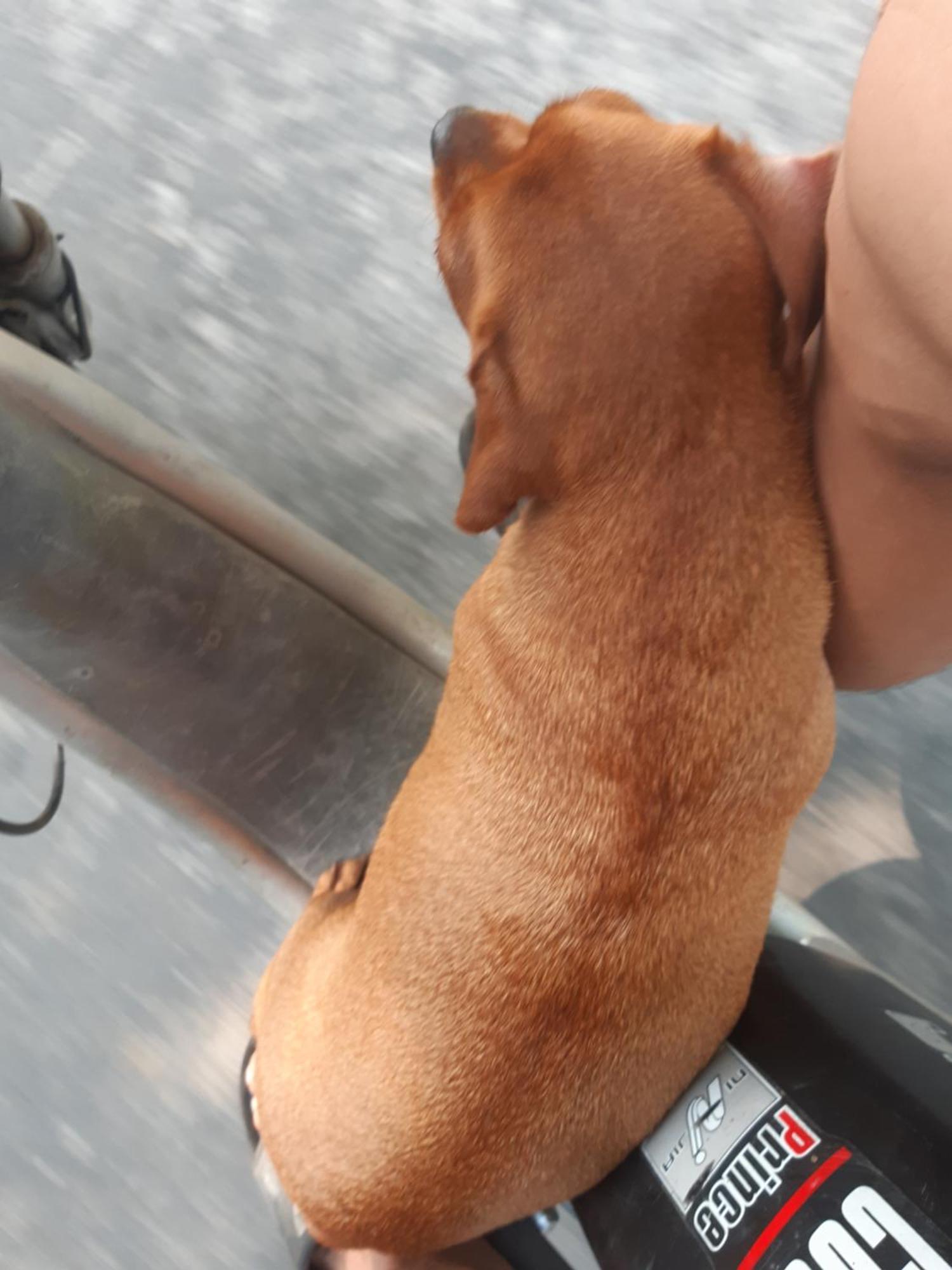 Central Hills Cat Ba Xuân Đám Phòng bức ảnh